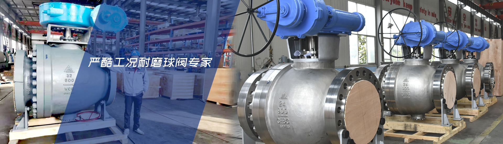 今年会有限公司 今年会有限公司