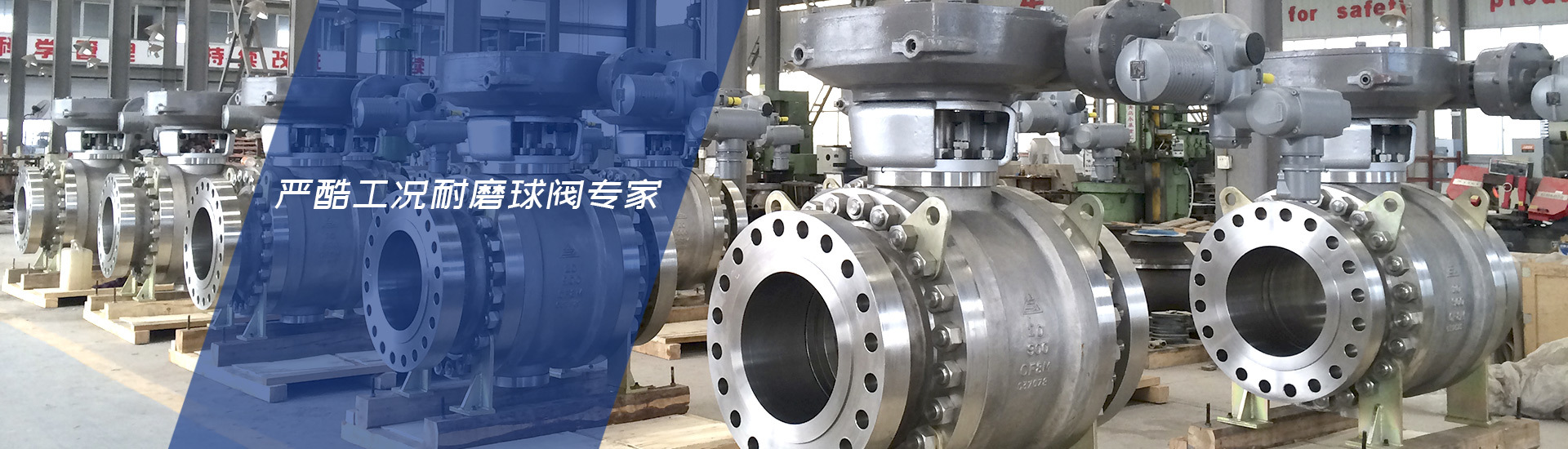 今年会有限公司 今年会有限公司