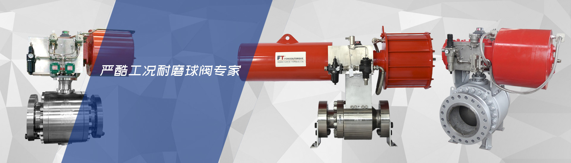 今年会有限公司 今年会有限公司